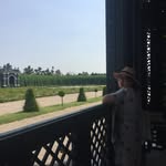 Camilla Yang - @winlyyang - Instagram
