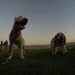 Camille and Oski Bear - @camille_and_oski - Instagram