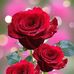 Camille Andre - Facebook