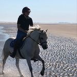 Camille - @camille_angelo_horse - Instagram