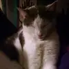 Camille Barton - @camille.barton7 - TikTok