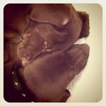 Camille Benjamin - @rentcyteb676 - Instagram