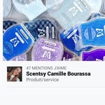 Camille Bourassa - @scentsycamibou - Instagram