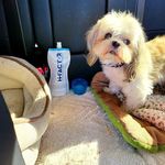 Camille Burch - @rakexi2740 - Instagram