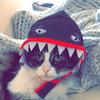 Camille Camp - @camille_the_banana_peel - TikTok