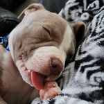 Camille Carroll - @mom2djsw - Instagram