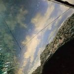 Camille Case - @csheeshka - Instagram