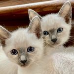 @adventuresofcamilleandcasper - Instagram