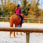 @_camille_cavaliere_ - Instagram