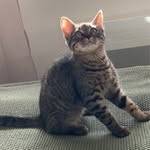 HUNTER - @hunter_camille_christopher - Instagram