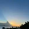 Camille Collazo Piñe - @camille.collazo - TikTok