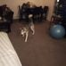 Camille Collier - Facebook