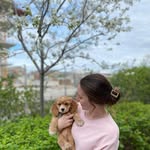 Camille Groulx-Comeau - @camgroulx - Instagram