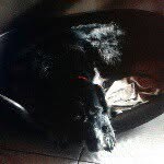 camille - @camille.copet - Instagram
