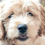 Camille - @camille_costello_ - Instagram