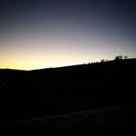 Camille Cottin - @camillecottin11 - Instagram