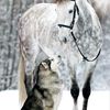 Camille Cottin - @camille.cottin - TikTok