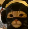 Craig - @craig_camilleri1 - TikTok