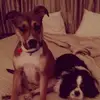 camillecurrie1 - @camillecurrie1 - TikTok