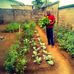 Camille Cyriaque Mosseyi - Facebook
