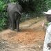 Camille Cyriaque Mosseyi - Facebook