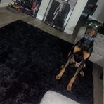 Cam Etheridge - Facebook