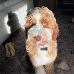 Camille Stewart Ewing - @camille.ewing - Instagram