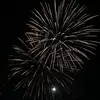 Camille_forest - @camille_forest09 - TikTok