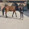 camille_forest - @camille_forest - TikTok