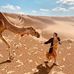 Camille Gerber - Facebook