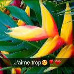 Camille Gilbert - @camille.gilbert.75641 - Instagram