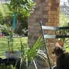 camillegoodwin7 - @camillegoodwin7 - TikTok