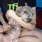 Camille green - @cami_camille_green - Instagram