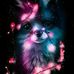 Camila Cruz Alvay - Facebook