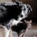 Kallista Camille Gross - Facebook