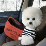 Camille Guo - @camille.guo.920 - Instagram