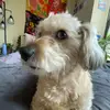 Camille Guzman - @camilleguzman73 - TikTok