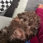 Camille james - @camillejames496 - Instagram