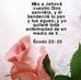 Camille Joseph - Facebook