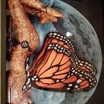 Camille Miller - @camille.miller.16144 - Instagram