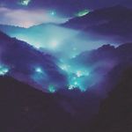 🌙Moonlight🌙 - @camillemiller_1234567 - Instagram