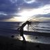 Camille Orefice - Facebook
