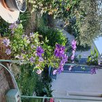 Camille Pascal - @camille.pascal.167 - Instagram