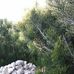 Pascal Camille - Facebook
