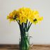 Camille Peck - Facebook