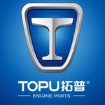 Camille Peng - @topuenginesales - Instagram