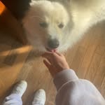 Camille pilon - @piloncamille - Instagram