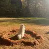 Camille pilon - @camille.pilon1 - TikTok