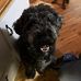 Camille Ross - Facebook