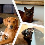 Bruno, Camille, Spencer - @bruno.camille.spencer - Instagram